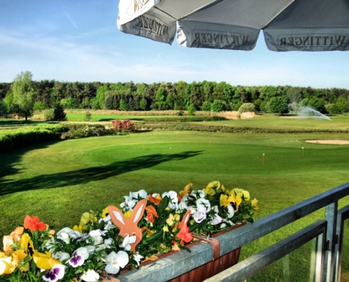 Blick von der Restaurant-Terrasse in die schöne Umgebung